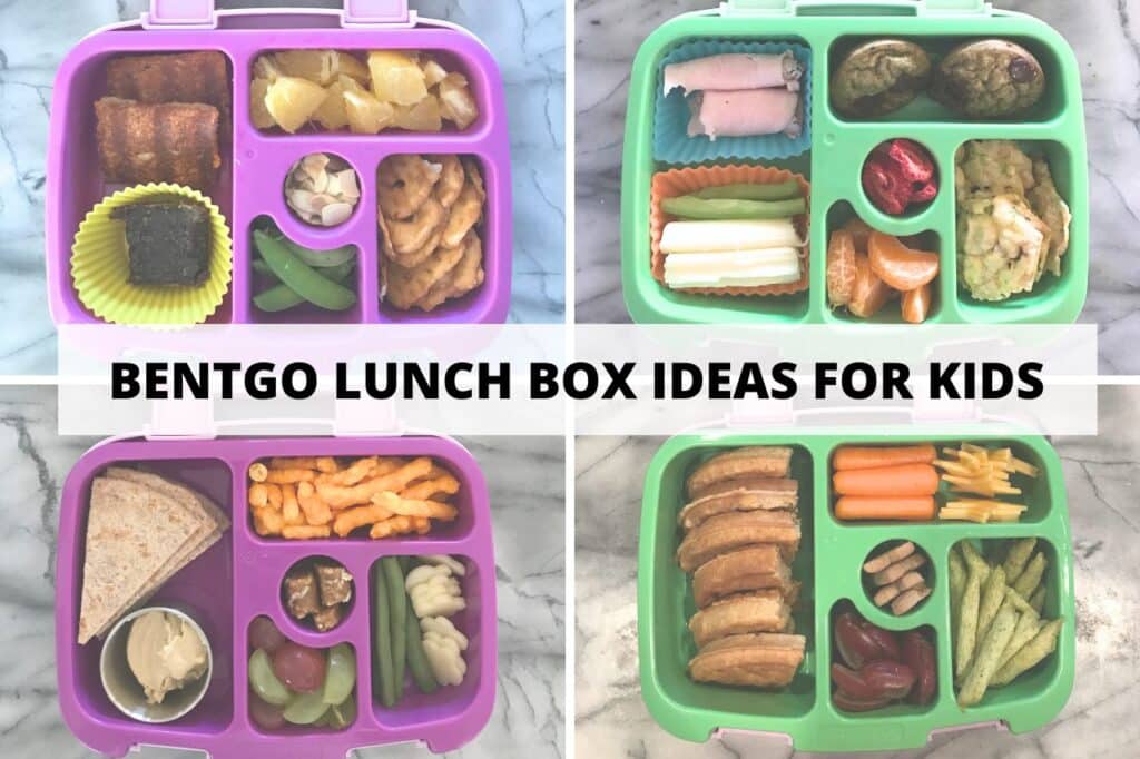 Bentgo Lunch Box Ideas