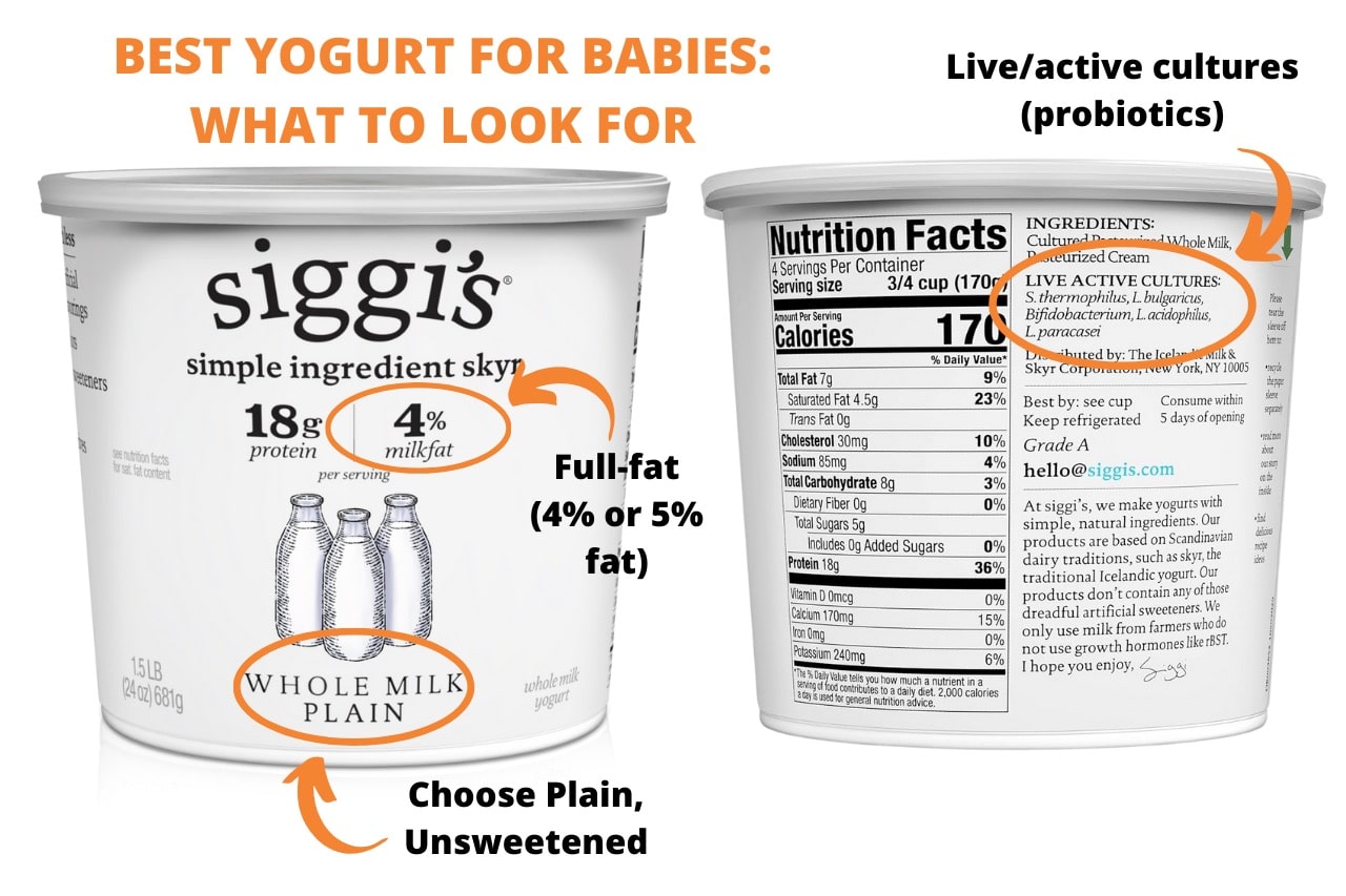 Best Yogurt for Babies 6 months to 1 year (& beyond)