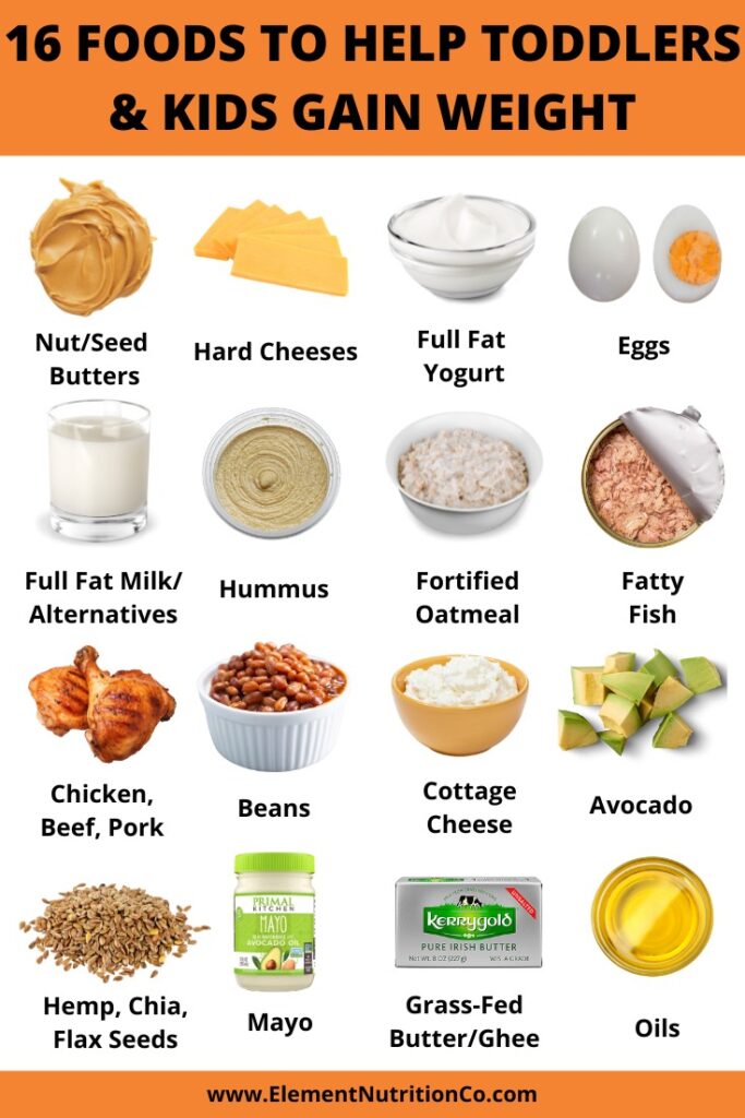 Best Foods for Weight Gain in Toddlers & Kids to Support Healthy Growth